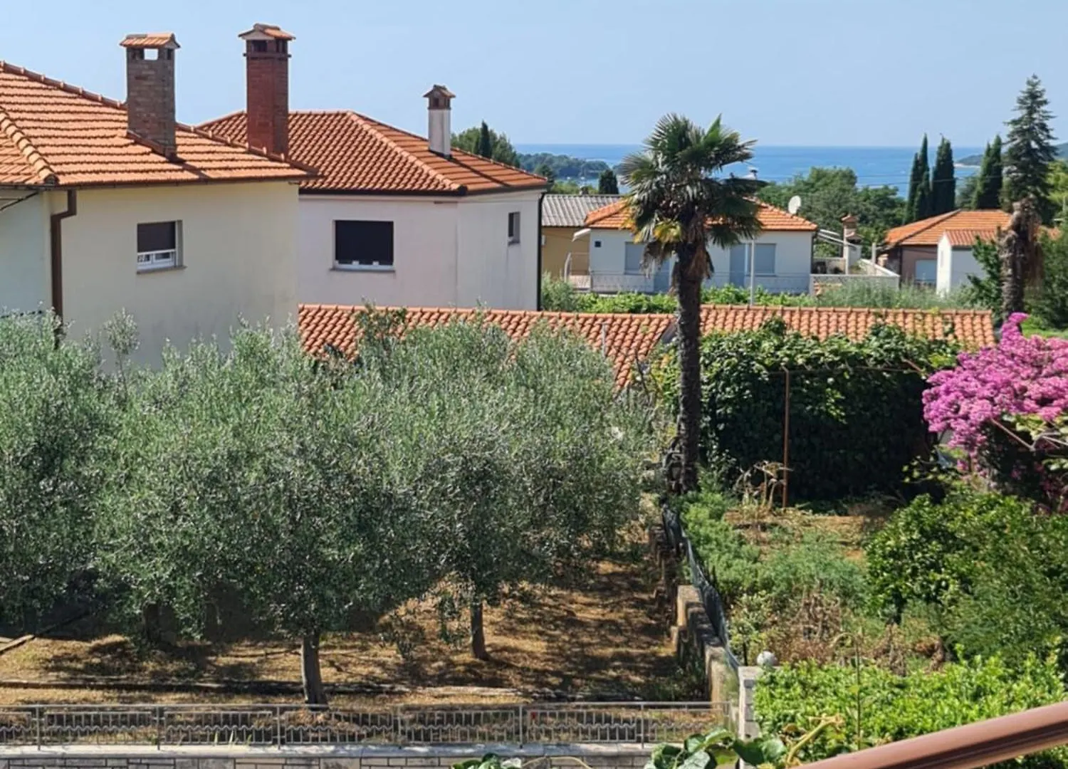 Apartments Ada Rovigno Croazia